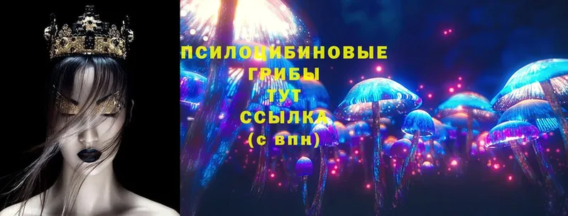 Псилоцибиновые грибы MAGIC MUSHROOMS  мориарти формула  Курск 